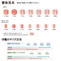 ◎ブラストチタン 会社設立印4点セット　牛もみケース・角印用革袋・桐箱・保証付き※開運吉相印対応不可